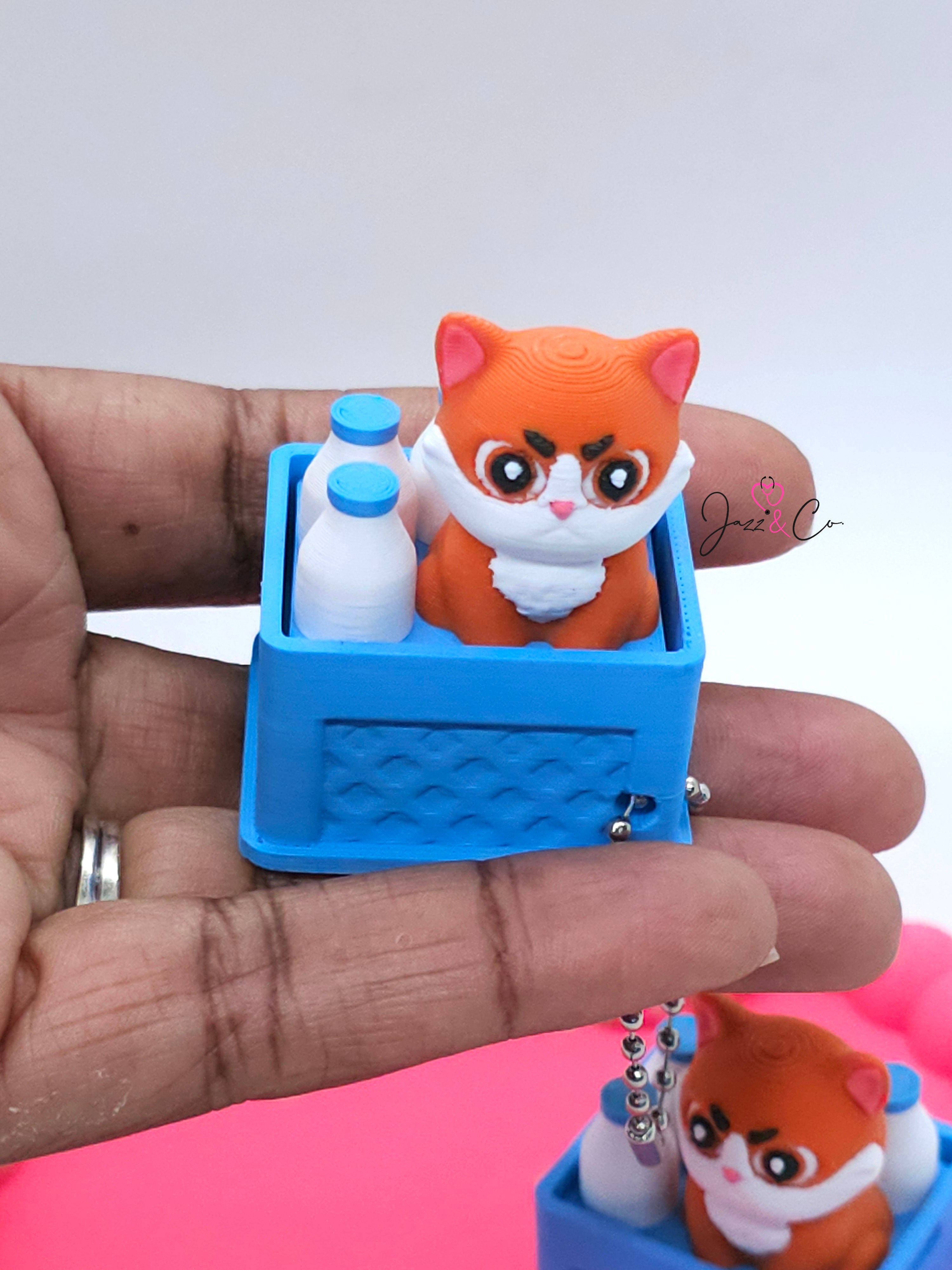 Grumpy Cat Crate Fidget Clicker Keychain
